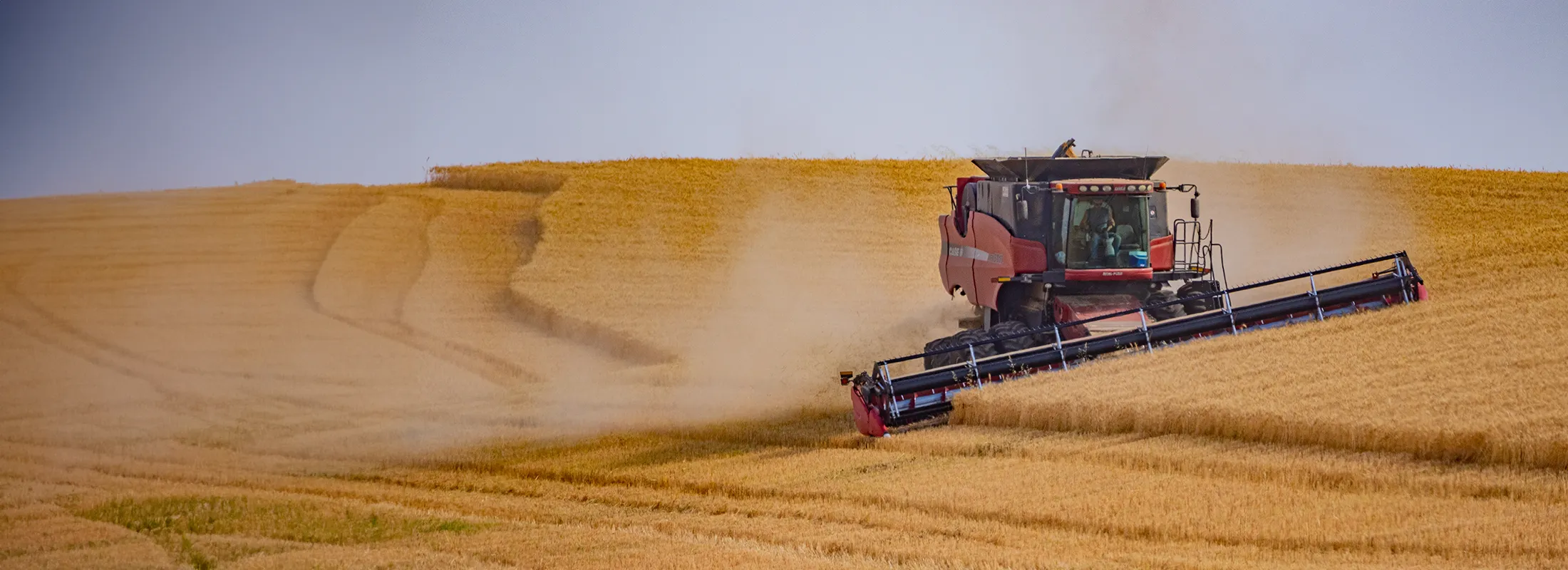 a combine moving through a wheat field