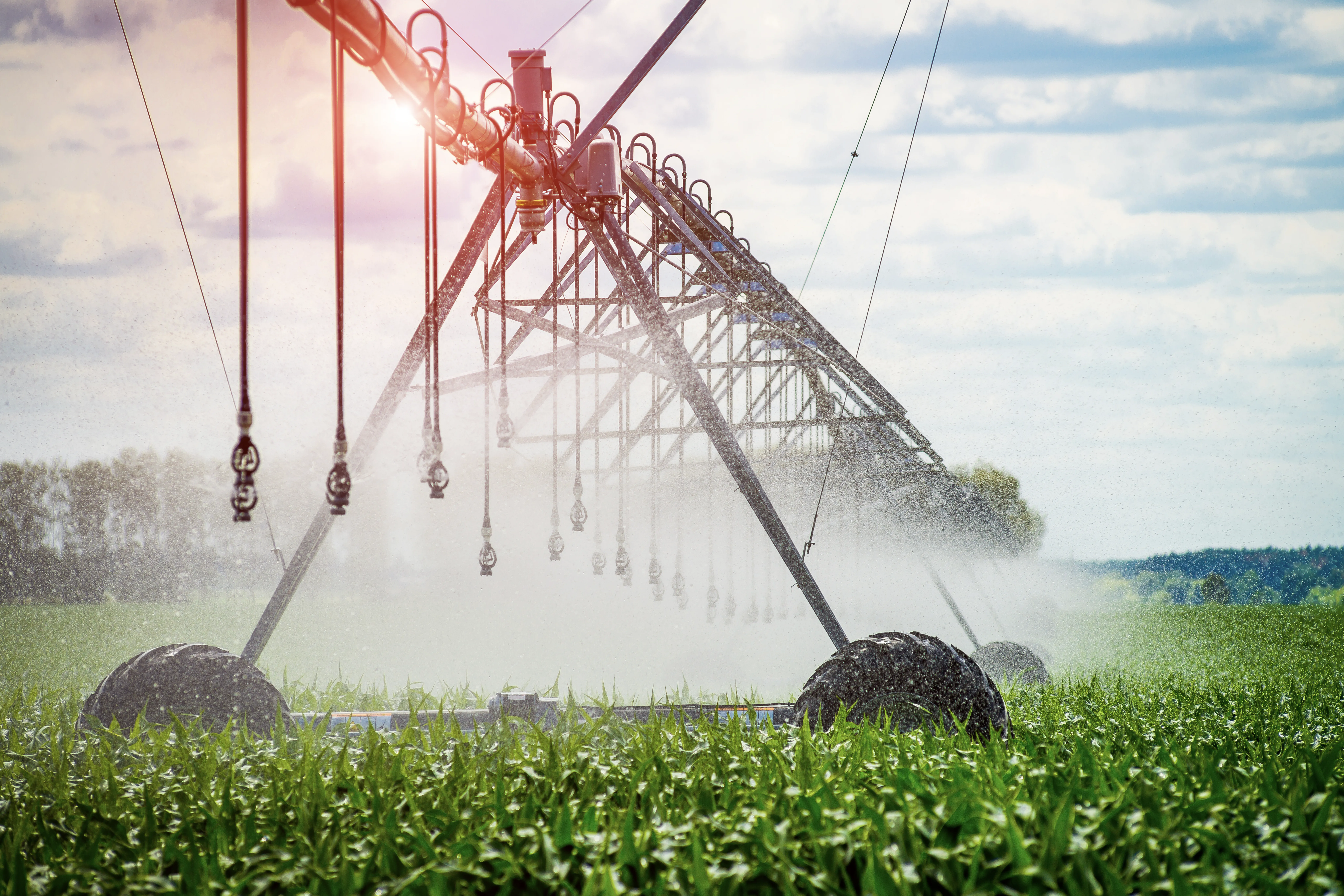 irrigation equipment in a field